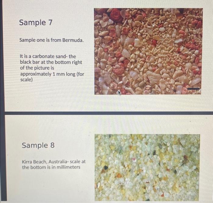 Sample 7
Sample one is from Bermuda.
It is a carbonate sand- the black bar at the bottom right of the picture is approximatel