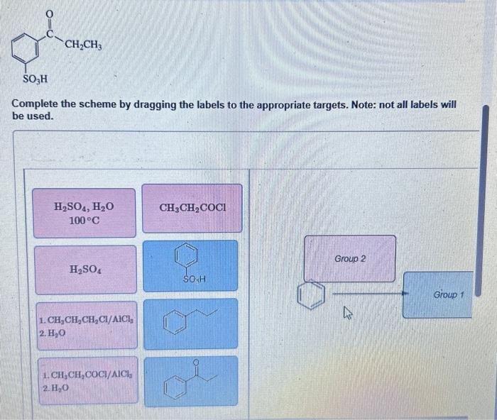 Solved Complete the scheme by dragging the labels to the | Chegg.com