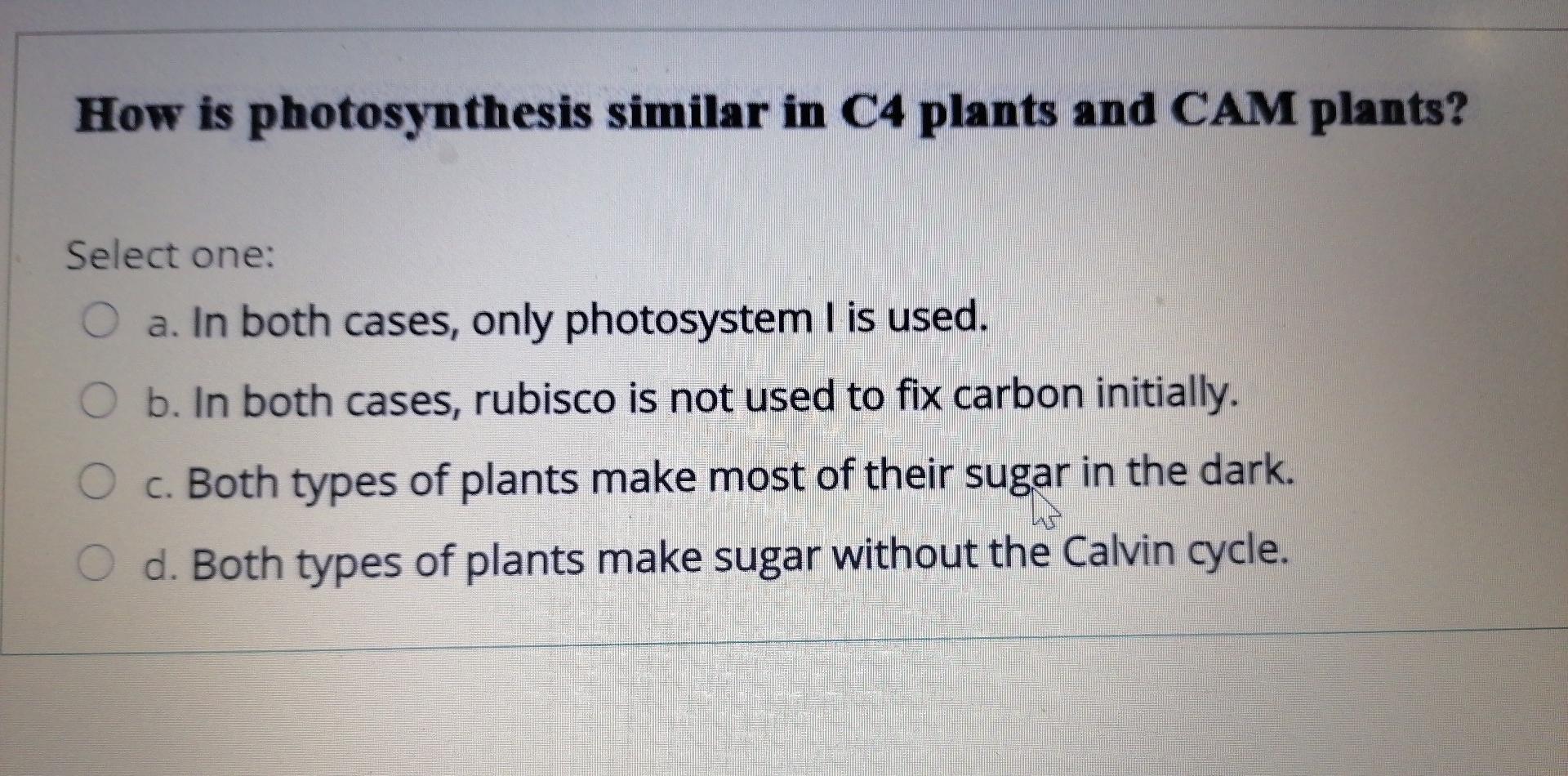 Solved How is photosynthesis similar in C4 plants and CAM | Chegg.com