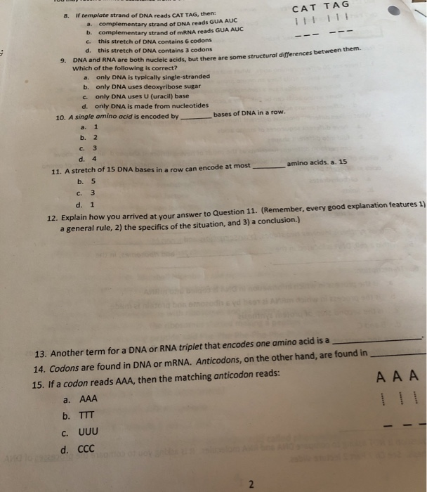 solved-1-there-are-20-different-amino-acids-what-makes-chegg