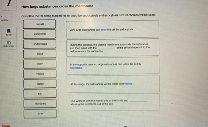 Solved How Large Substances Cross The Membrane Complete The Chegg Com