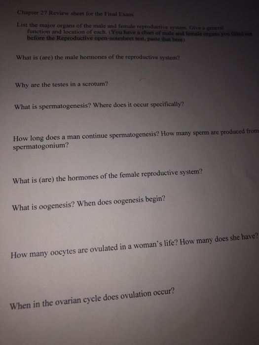 Quizzes Quizzes