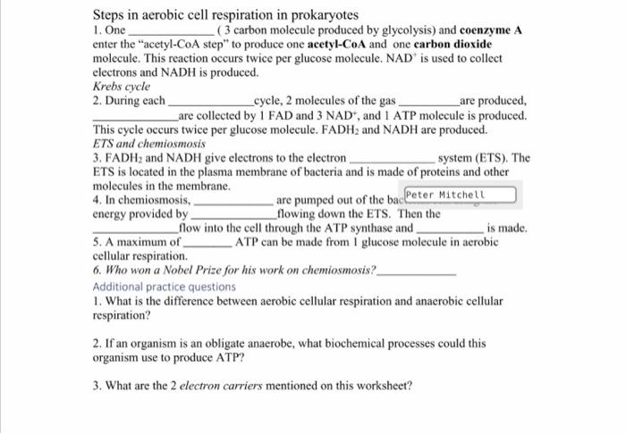 Solved Steps in aerobic cell respiration in prokaryotes 1. | Chegg.com