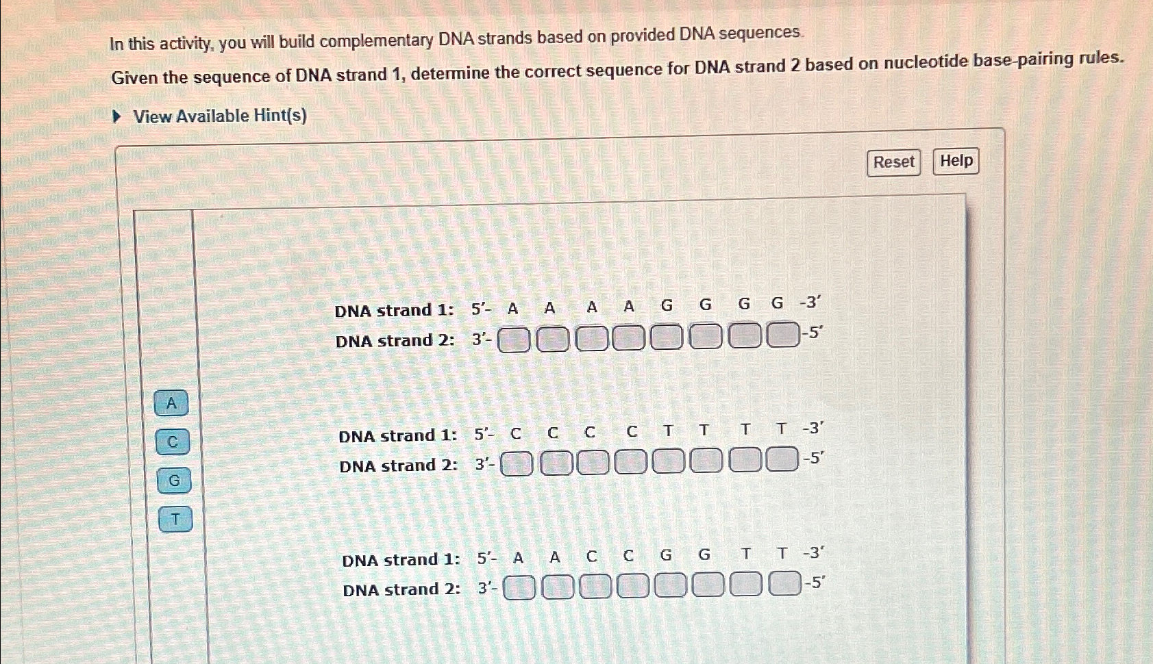 Solved In this activity, you will build complementary DNA | Chegg.com