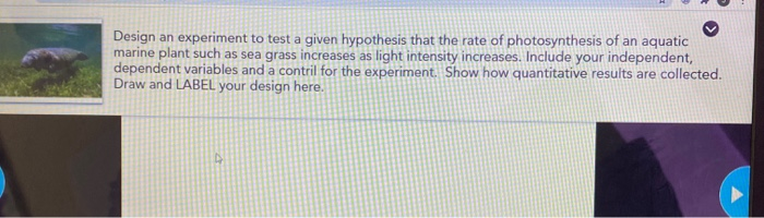 an experiment designed to test a specific hypothesis