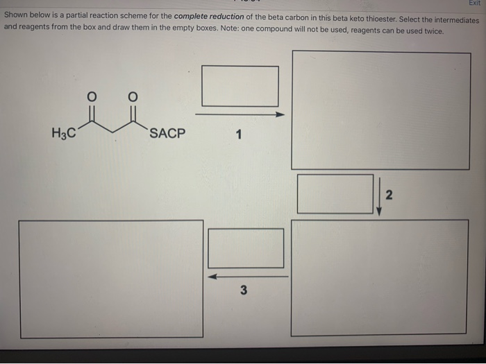 Solved Exit Shown below is a partial reaction scheme for the | Chegg.com