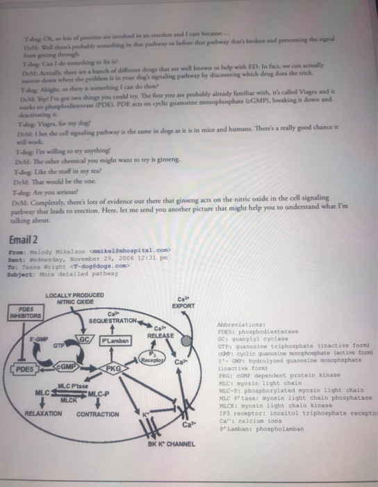 My dog is broken case study image