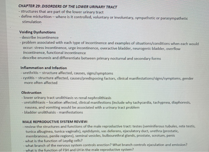 Solved Chapter 29 Disorders Of The Lower Urinary Tract Chegg Com