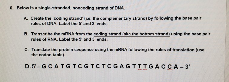 Solved 6. Below is a single-stranded, noncoding strand of | Chegg.com