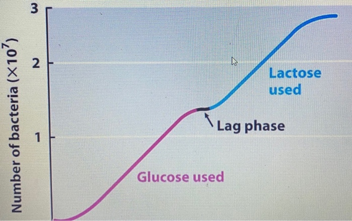 Solved E. coli was grown in media containing glucose and | Chegg.com