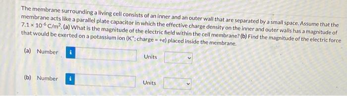 Solved The membrane surrounding a living cell consists of an | Chegg.com