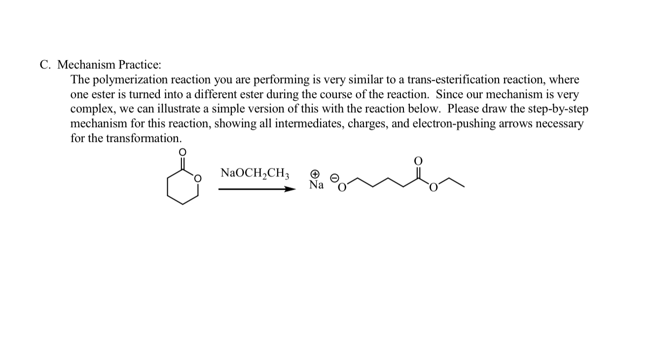 Solved C. ﻿Mechanism Practice:The polymerization reaction | Chegg.com