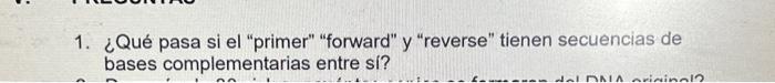 1. ¿Qué pasa si el primer forward y reverse tienen secuencias de bases complementarias entre si?