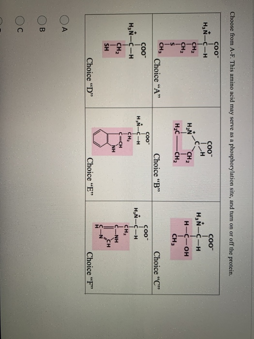 Solved Choose From A F This Amino Acid May Serve As A Ph Chegg Com
