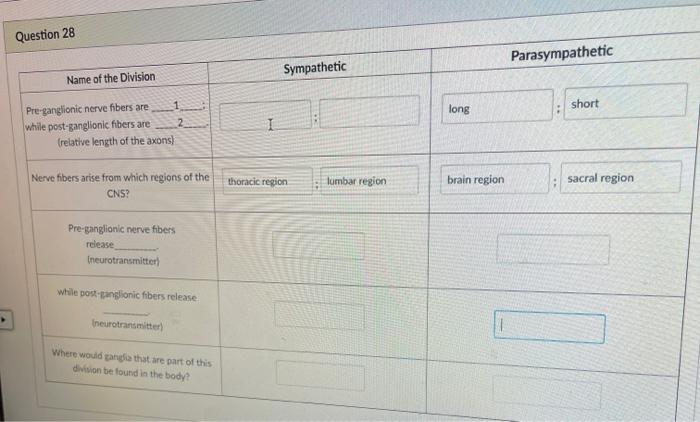 Solved Question 28 Parasympathetic Sympathetic Name of the | Chegg.com