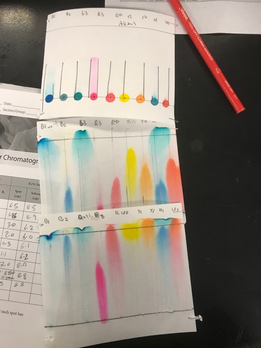 Solved Data Paper Chromatography Water Rubbing Alcohol 0...