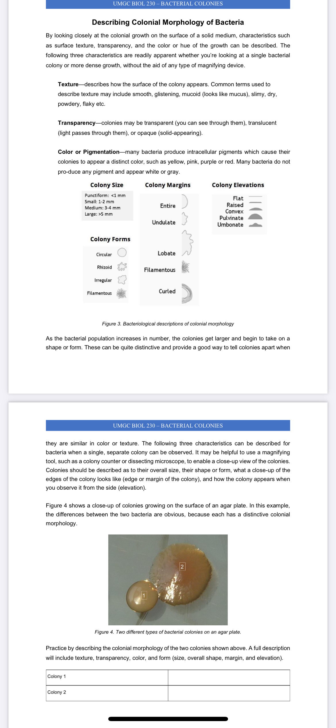 student submitted image, transcription available below