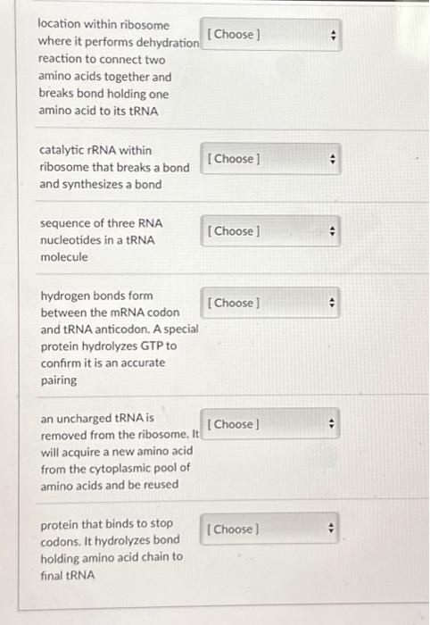 Solved Location Within Ribosome Where It Performs | Chegg.com