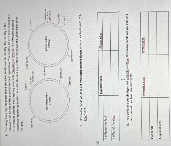 Solved 2. please answer all parts fo the question and show | Chegg.com