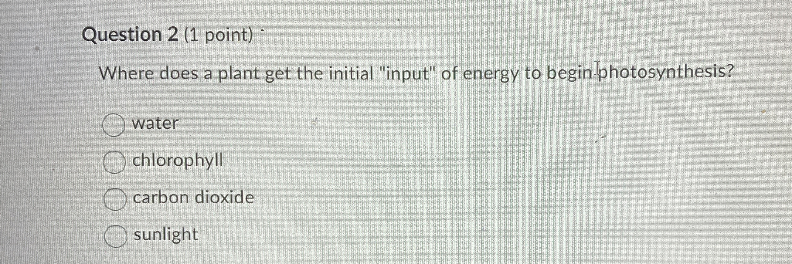 Solved Question 2 (1 ﻿point)Where does a plant get the