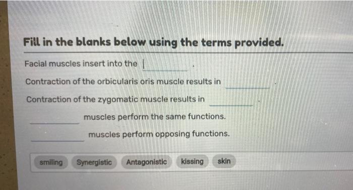 Solved Fill in the blanks below using the terms provided. Chegg