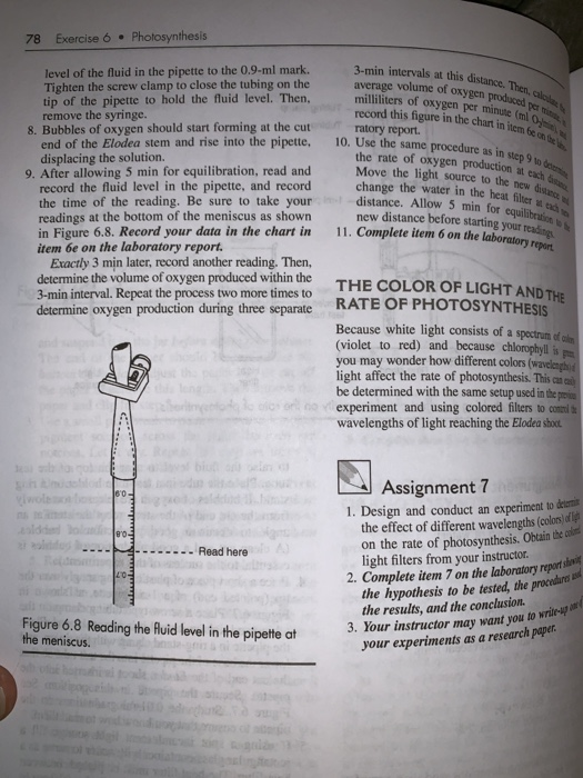Solved Laboratory Report 6 de texte PHOTOSYNTHESIS Vo
