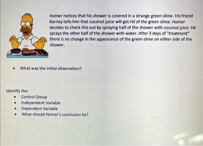 Solved Homer notices that his shower is covered in a strange