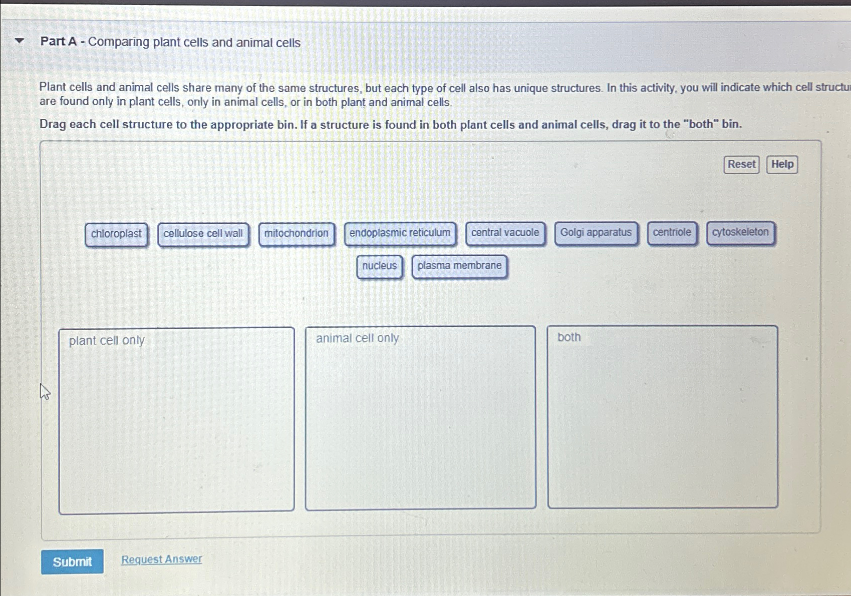 compare the structure of plant cells to animal cells