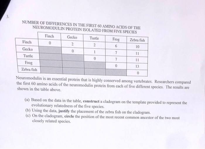 2 Table I Nucleotide Present At 6 Different Snp Chegg 