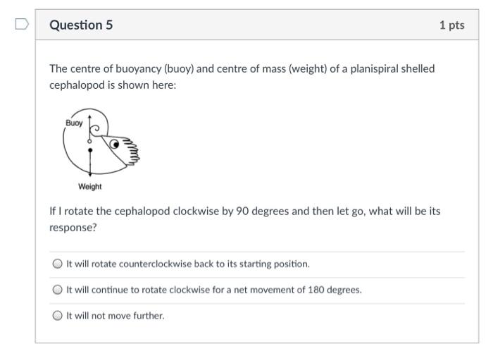 Solved Question 4 1 pts Consider the following 2D shapes: A | Chegg.com