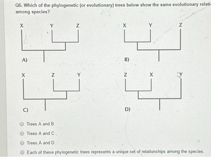 Solved Q6. Which of the (or evolutionary) trees