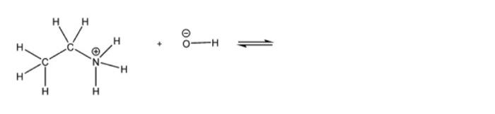 Solved Step 1: Draw lone pairs onto your reactant species. | Chegg.com