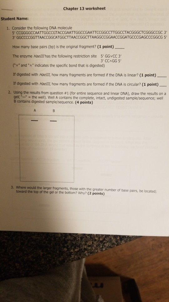 Solved Chapter 13 Worksheet Student Name 1 Consider The Chegg