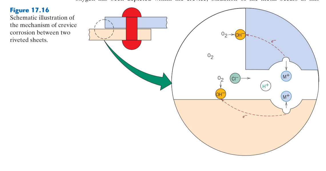 Solved Briefly describe and explain the driving force for