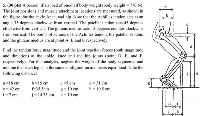 Solved A person lifts a load of one-half body weight (body | Chegg.com