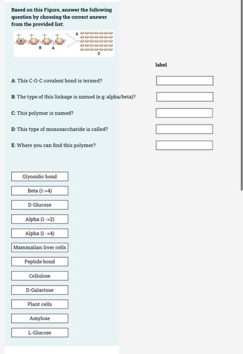 Solved Drag and drop from the available list of terms. is | Chegg.com