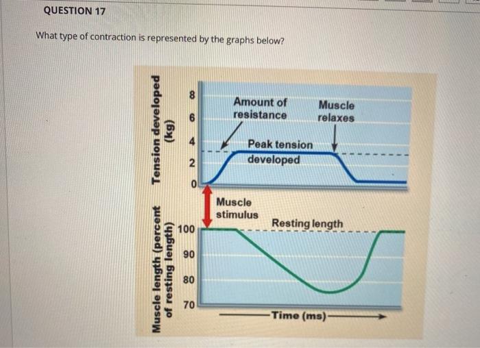 isometric vs isotonic contraction graph