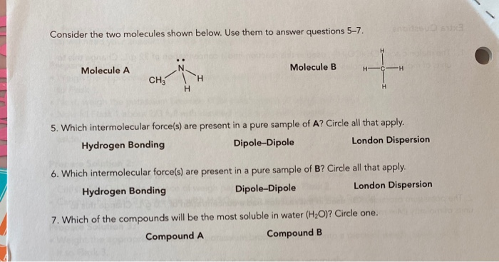 Solved Consider The Two Molecules Shown Below Use Them To Chegg Solved Consider The Two Molecules Shown Below Use Them To Chegg