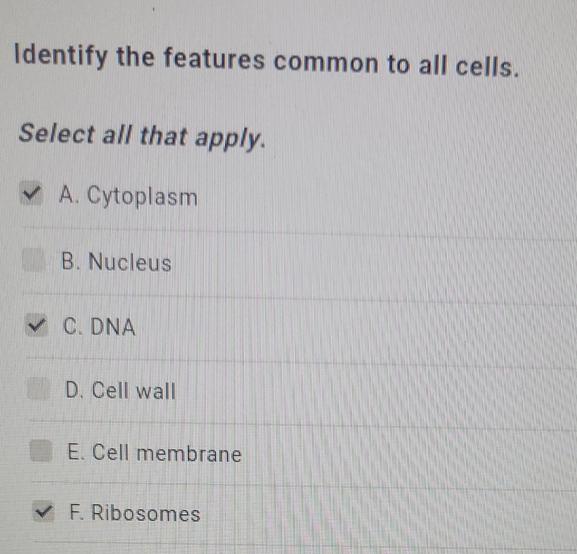 solved-identify-the-features-common-to-all-cells-select-all-chegg