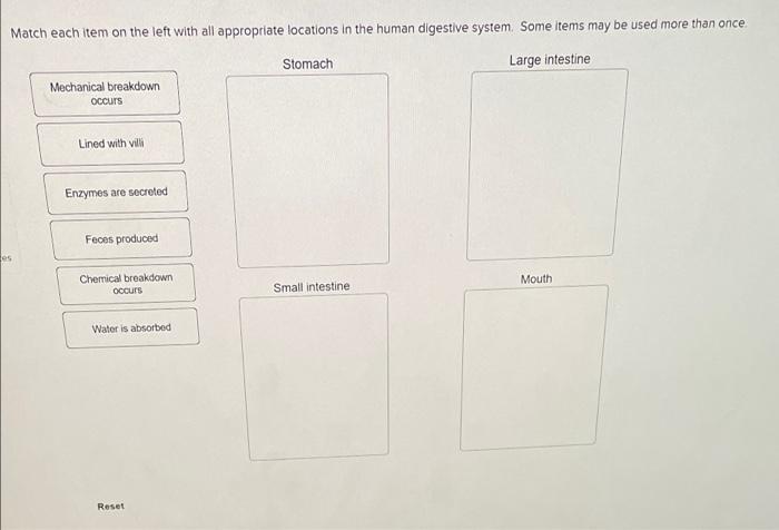 Solved Put the steps of nitrogenous waste removal in mammals | Chegg.com