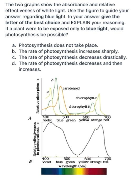 Solved The two graphs show the absorbance and relative | Chegg.com