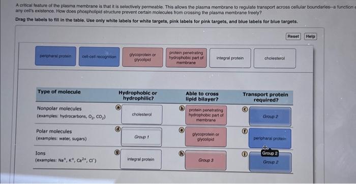 solved-a-critical-feahure-of-the-plasma-membrane-is-that-it-chegg