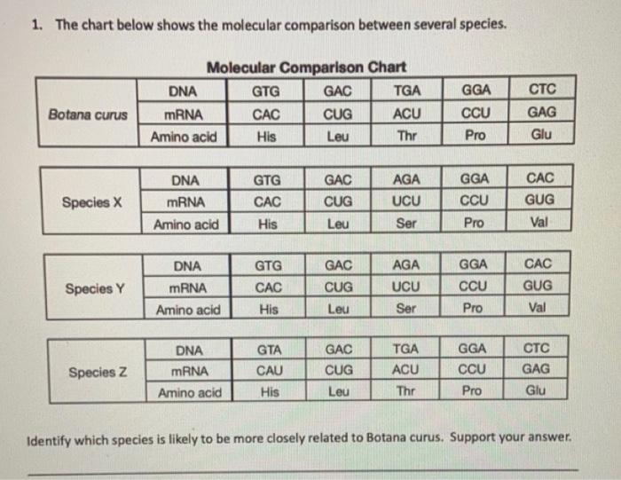 Solved Identify which species is likely to be more closely | Chegg.com