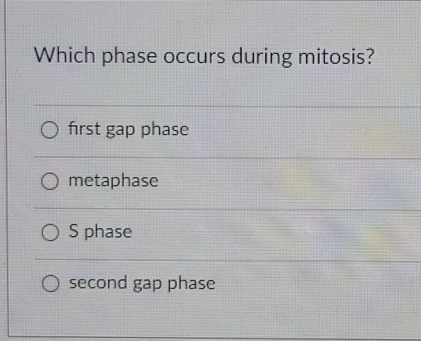 Solved Which phase occurs during mitosis? first gap phase | Chegg.com