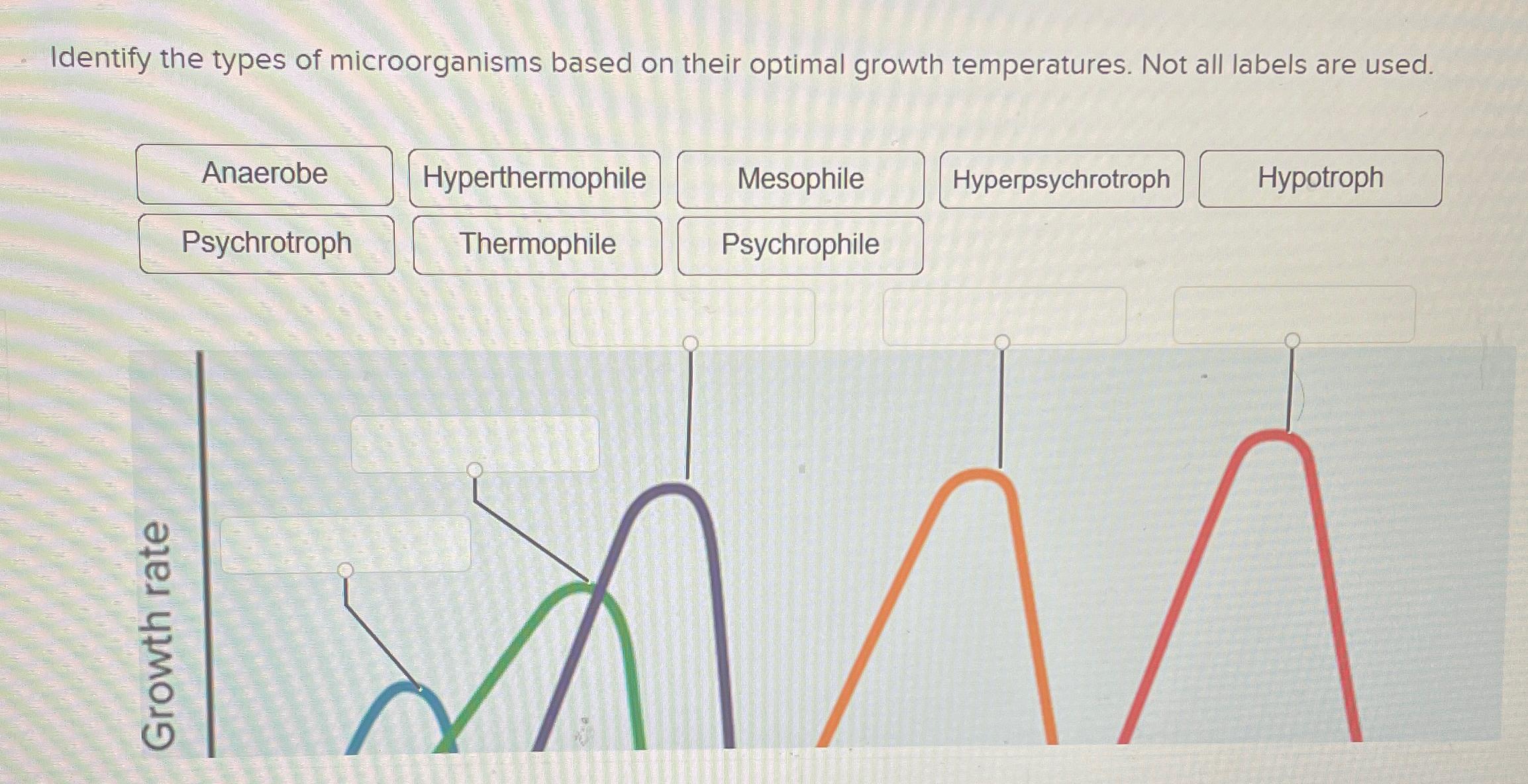 Solved Identify the types of microorganisms based on their | Chegg.com