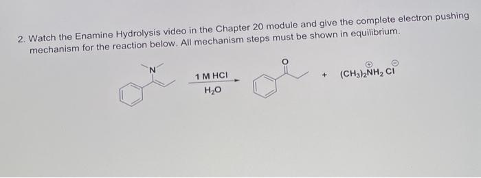 Solved 2. Watch the Enamine Hydrolysis video in the Chapter | Chegg.com