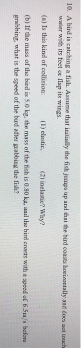 Solved 10. A bird is catching a fish. Assume that initially | Chegg.com