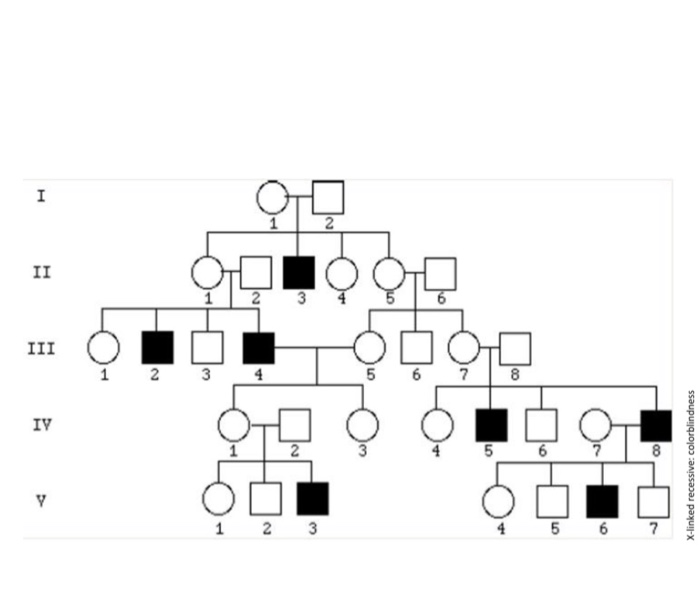 Solved Pedigree l: A family has a family history of sickle | Chegg.com