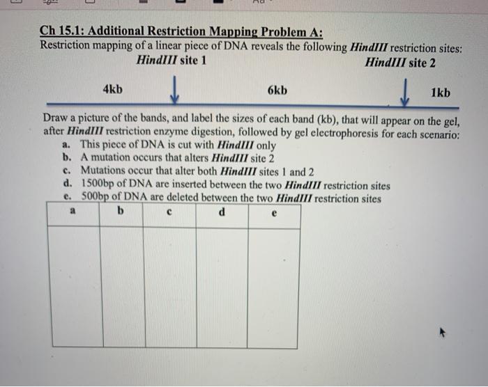Solved Ch 15.1: Additional Restriction Mapping Problem A: | Chegg.com