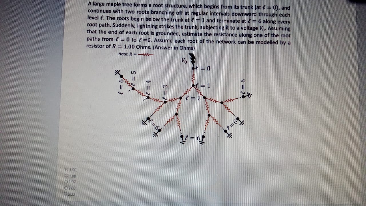 Solved A large maple tree forms a root structure, which | Chegg.com